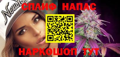 гашик Малоярославец