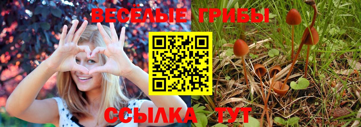 Псилоцибиновые грибы MAGIC MUSHROOMS Воткинск